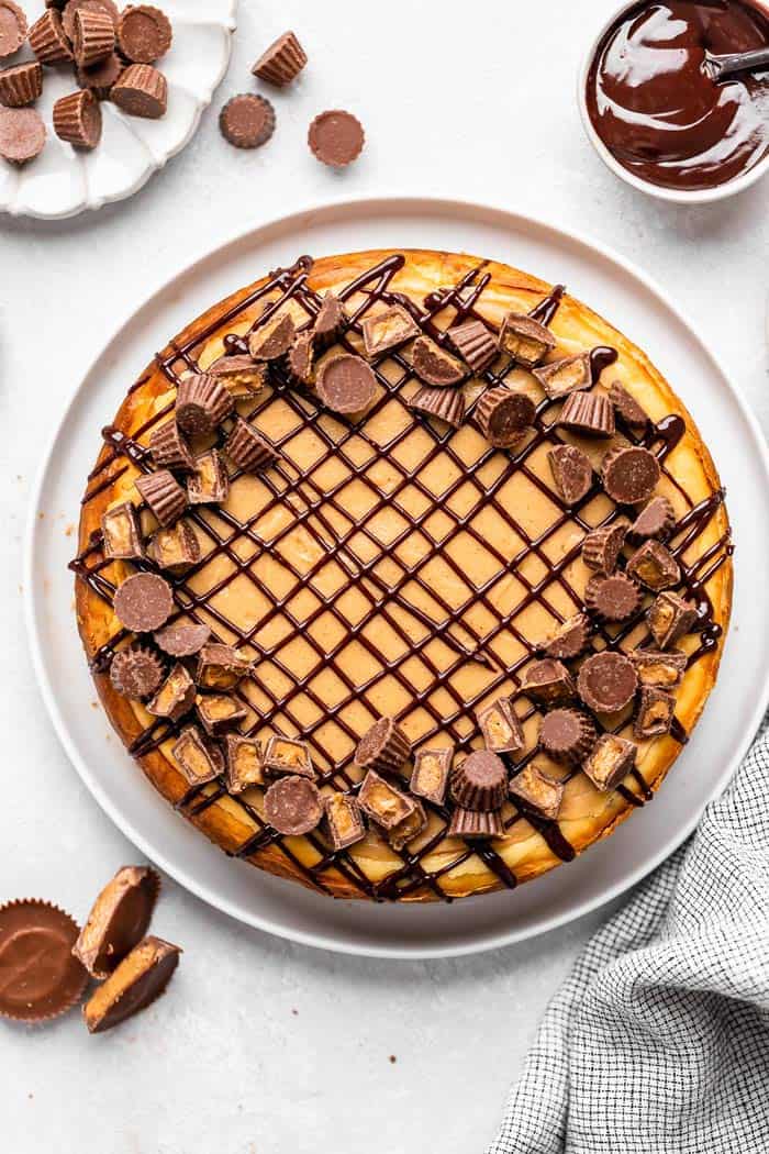 A peanut butter and chocolate cheesecake drizzled in chocolate against a white background