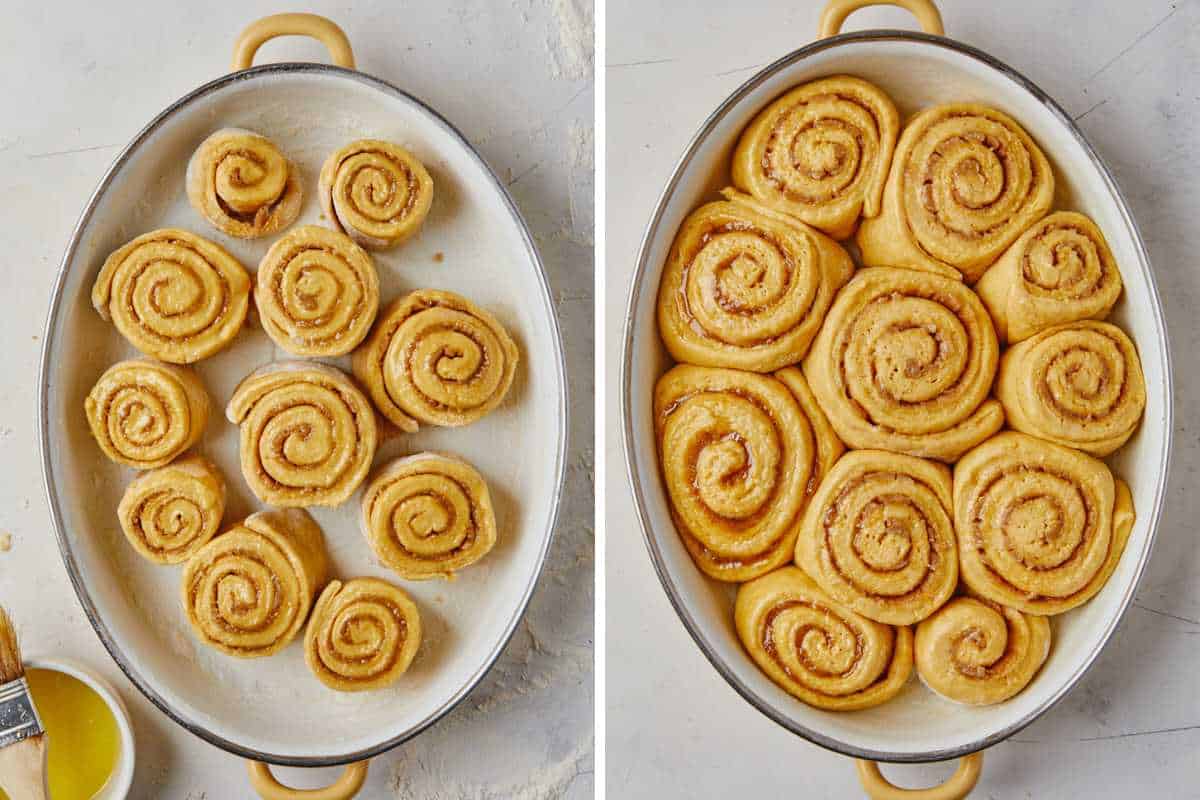 Cinnamon rolls cut in a baking pan and then after doubling in size.
