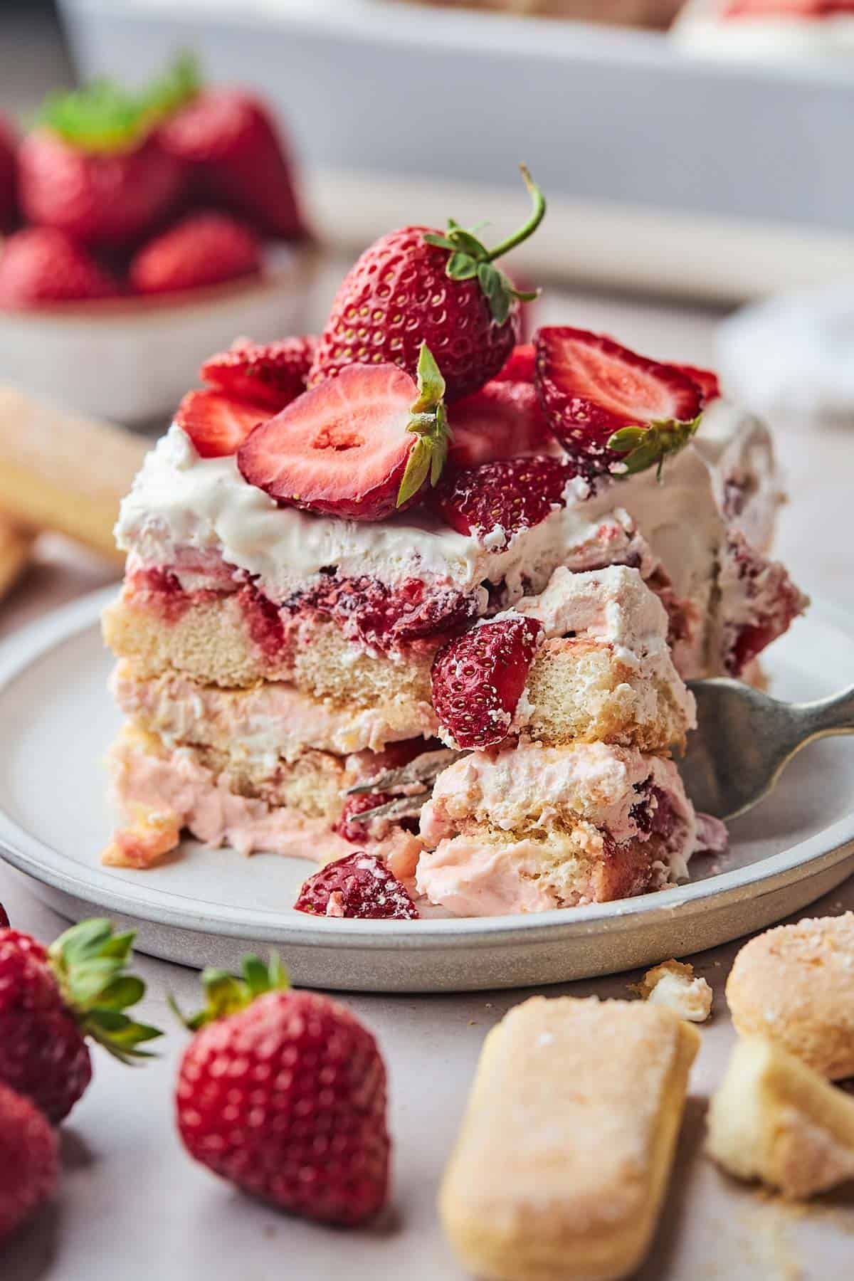 Strawberry Shortcake Tiramisu slice on a white plate surrounded by strawberries and lady fingers in background