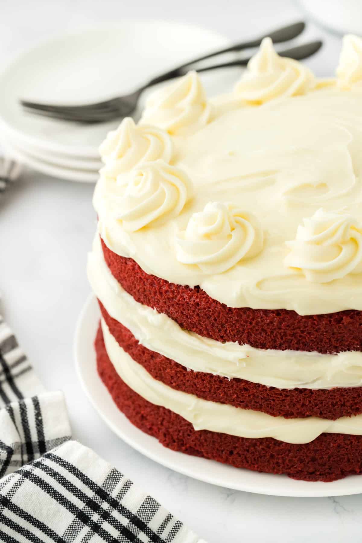 The best red velvet cake on a white plate before serving