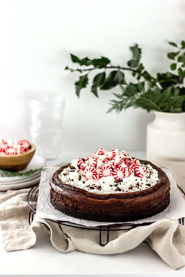 A chocolate cheesecake topped with whipped cream and peppermint candy against a white background with a bowl of peppermints near by