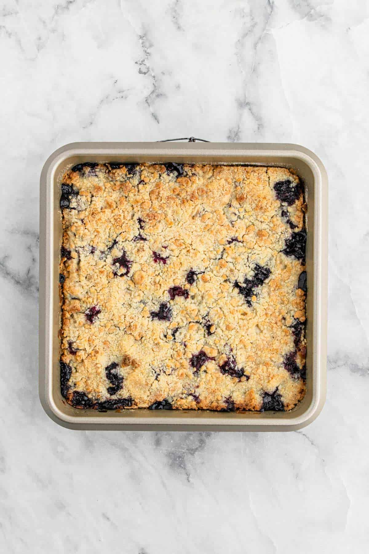 Blueberry bars in a pan after baking.