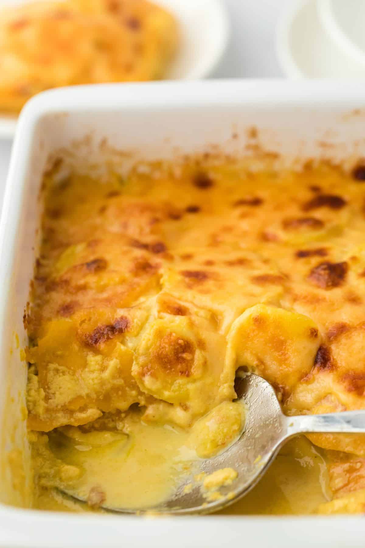 Closeup of a baked potato and squash gratin in a white casserole dish, with a serving scooped out