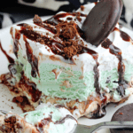 Girl Scout Cookie Mint Chocolate Ice Cream Cake | Grandbaby Cakes
