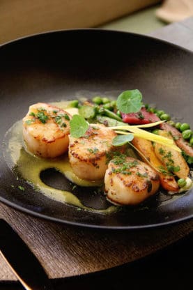 Delicious scallop dish on a black plate at Harvest Restaurant in Las Vegas