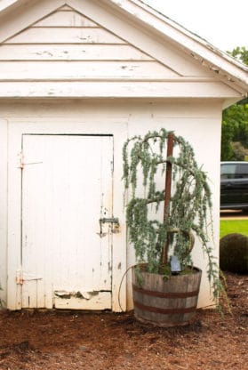 An old outhouse at The HoneyMoon House