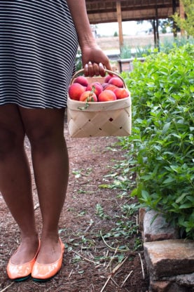 Jocelyn holding a basket of fresh peaches at the Farmview Market in Madison, GA