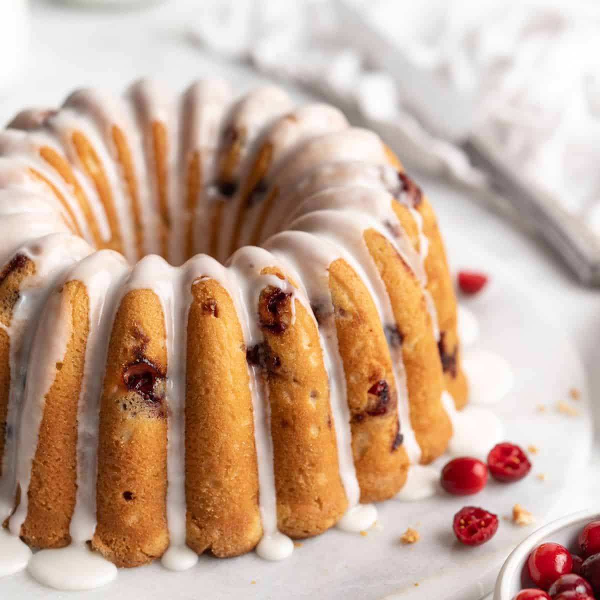 Cranberry Bundt Cake Recipe (VIDEO) 