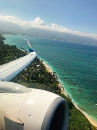 The Pacific Ocean, beach and tons of greenery from the window of an airplane