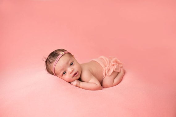 Photo of Harmony on a pink background