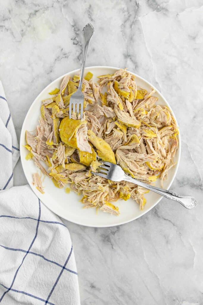 Slow Cooker Chicken Noodle Soup Grandbaby Cakes