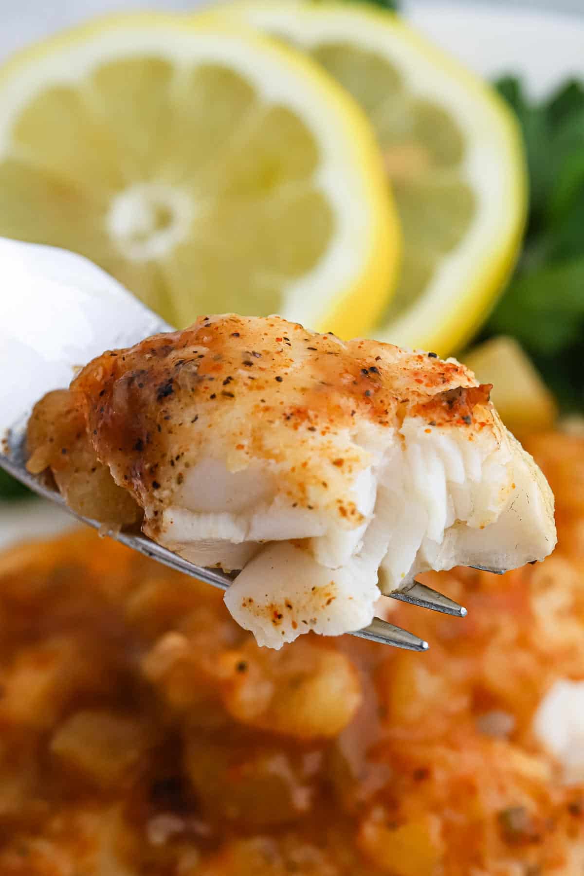 A forkful of grilled catfish up and over the plate. 