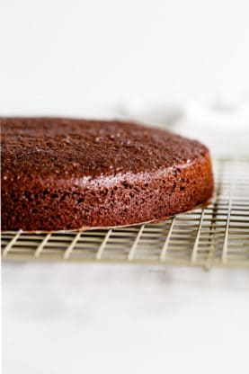 One layer of Moist Chocolate Cake sitting on a cooling rack