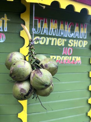Coconuts on wall in Ocho Rios, Jamaica