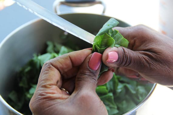 Southern Collard greens being cut by african american hands