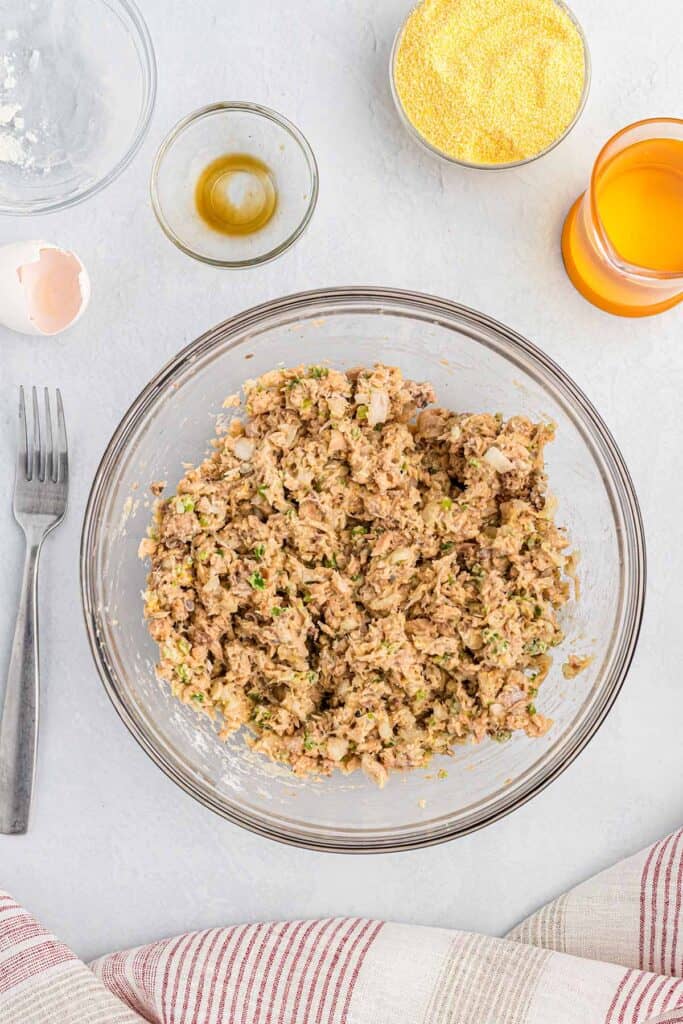 Salmon mixture mixed together.