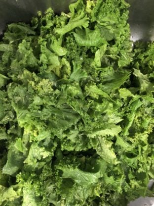 Washed mustard greens in a sink