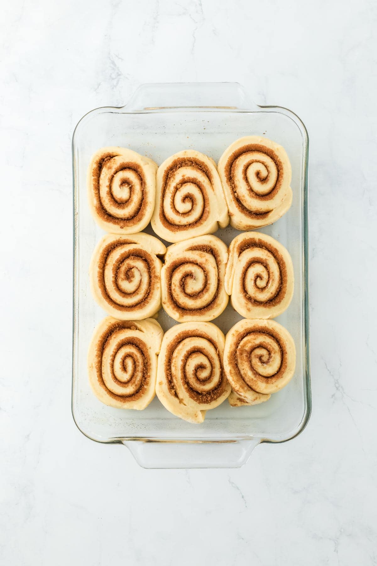 Cinnamon rolls in the baking dish after proofing, slightly puffed and ready for the oven