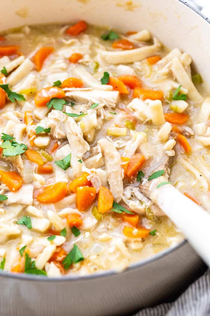 Creamy Chicken Noodle Soup 1 - Creamy Chicken Noodle Soup Recipe