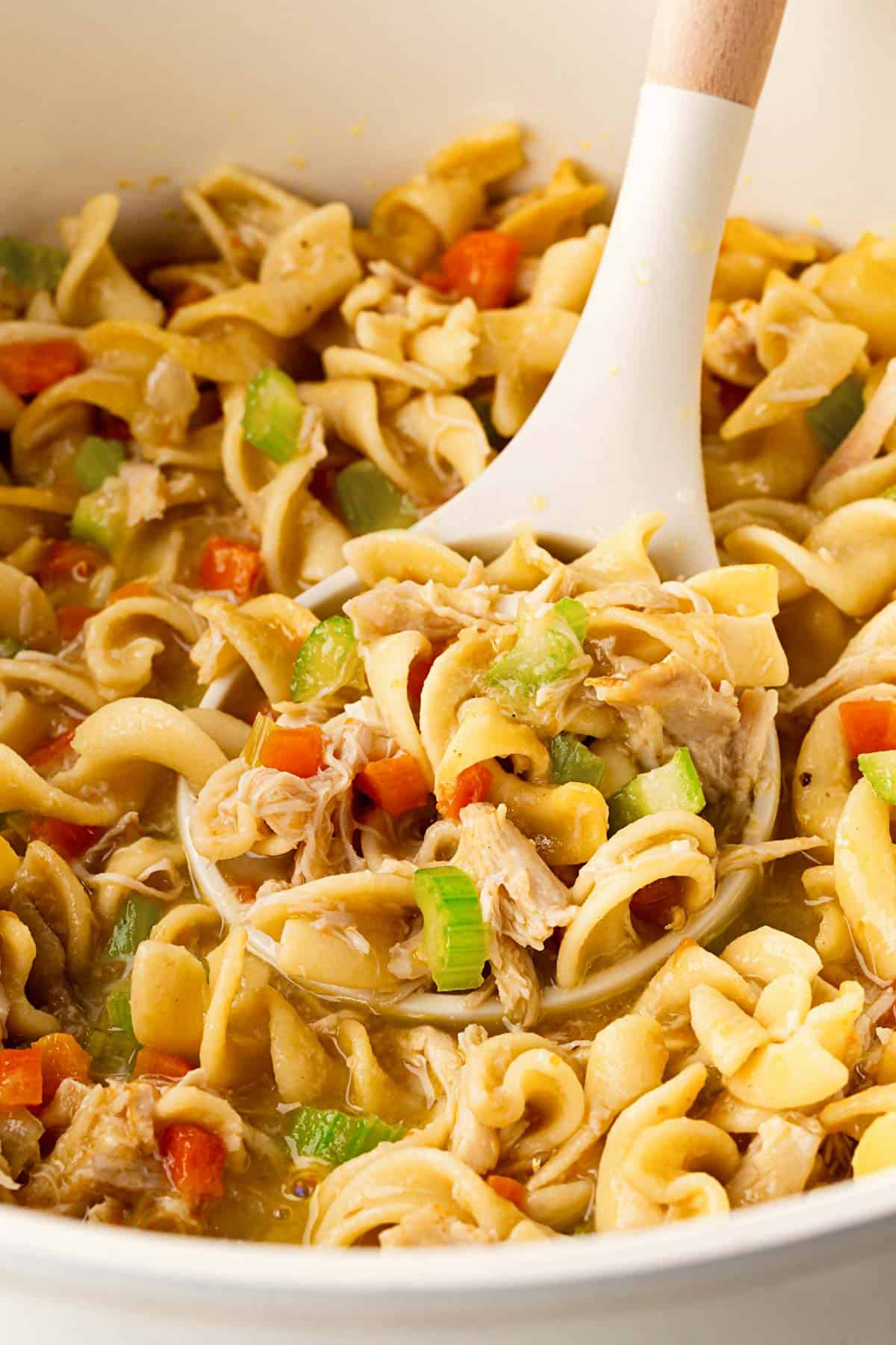 Closeup of creamy chicken noodle soup with egg noodles, carrots, celery, and shredded chicken being stirred with a white ladle