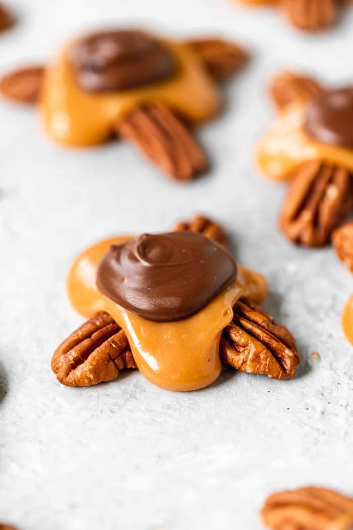 A close up of turtle candy against a white background ready to serve