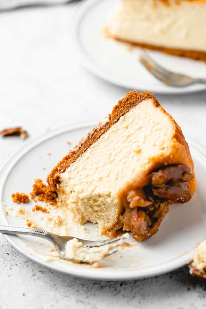 A slice of butter pecan cheesecake on a white plate being eaten with a fork