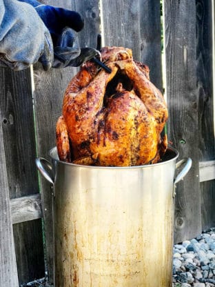 After learning how to fry a turkey, the fried bird is coming out of the oil after being completed