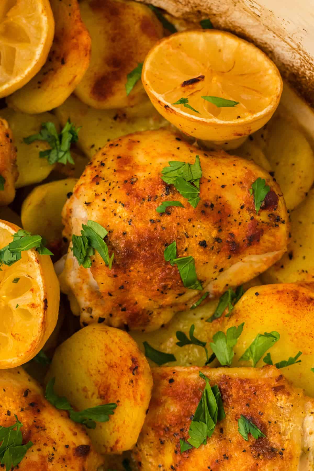 A close up of lemon roast chicken in a dutch oven with lemon halves ready to serve