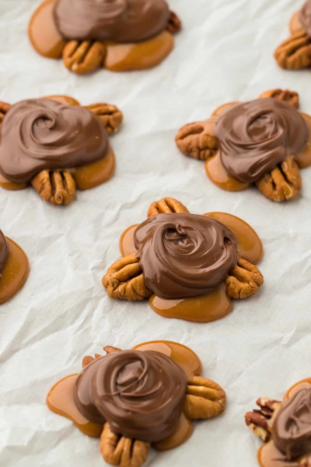 Turtles candy on white parchment ready to serve