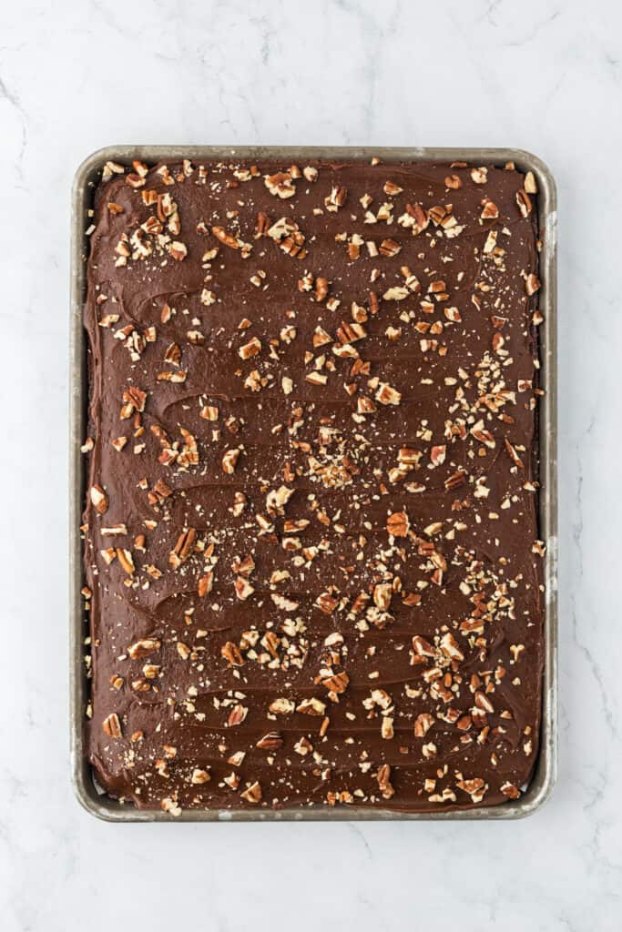 The best Texas sheet cake recipe topped with pecans on a white background before cutting into