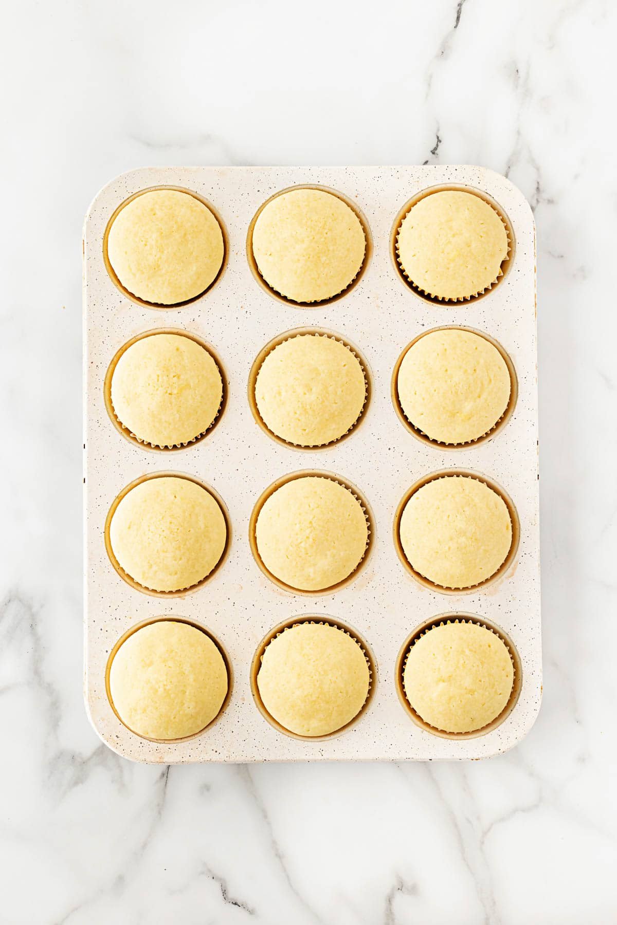 Freshly baked lemon cupcakes in a muffin pan, golden and domed on top
