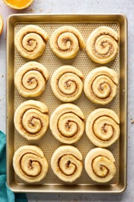 Cinnamon roll dough rolled with sugar filling on parchment lined baking sheet waiting to rise