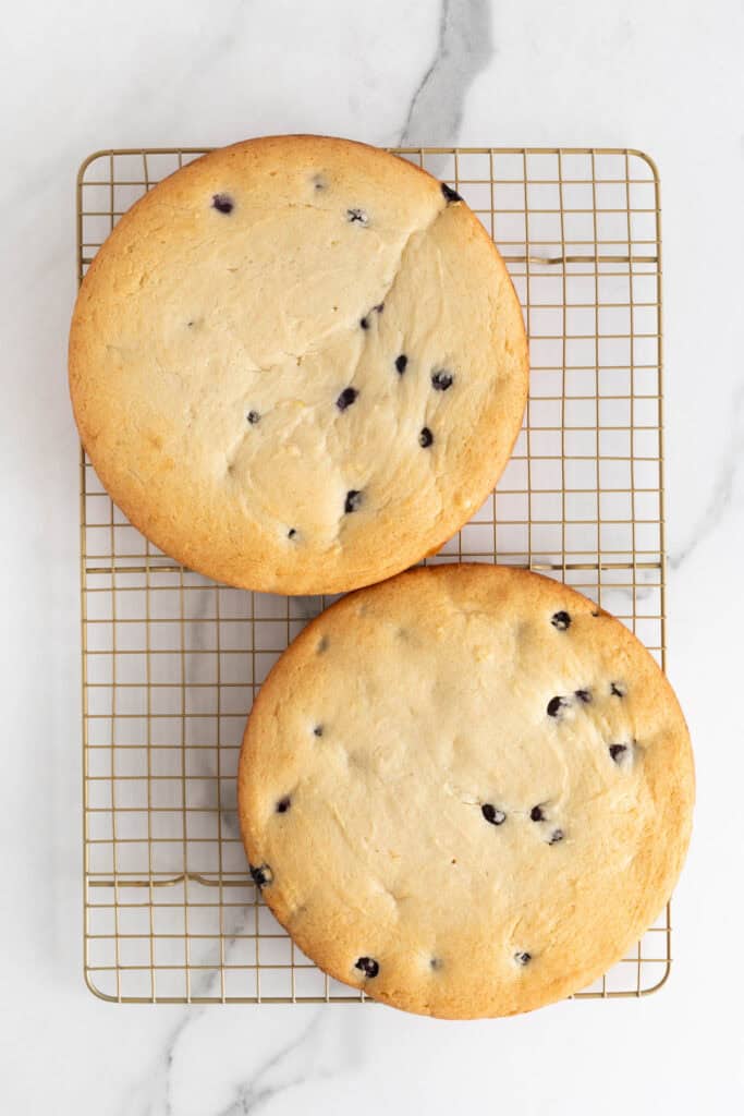 Two baked blueberry cakes cooling on a wire rack