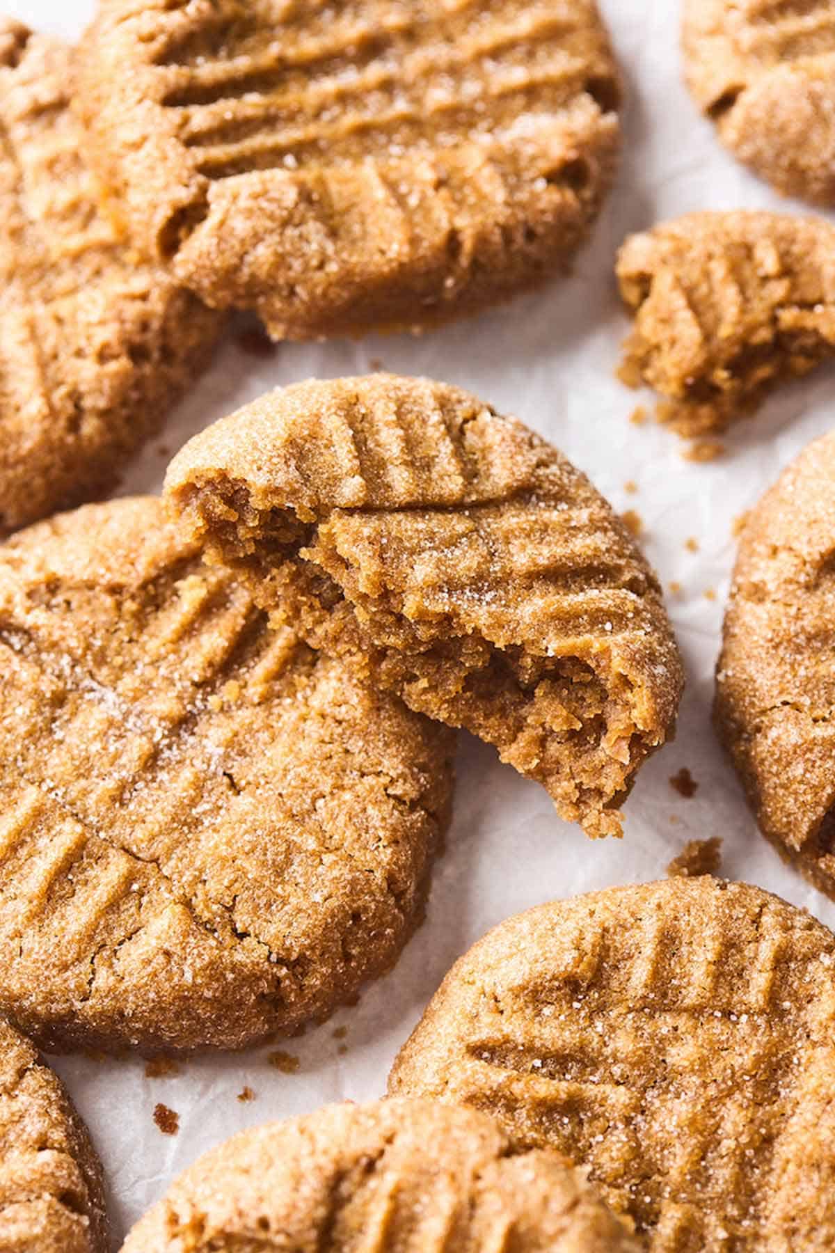 A close up of peanut butter cookies after being baked on a baking pan.