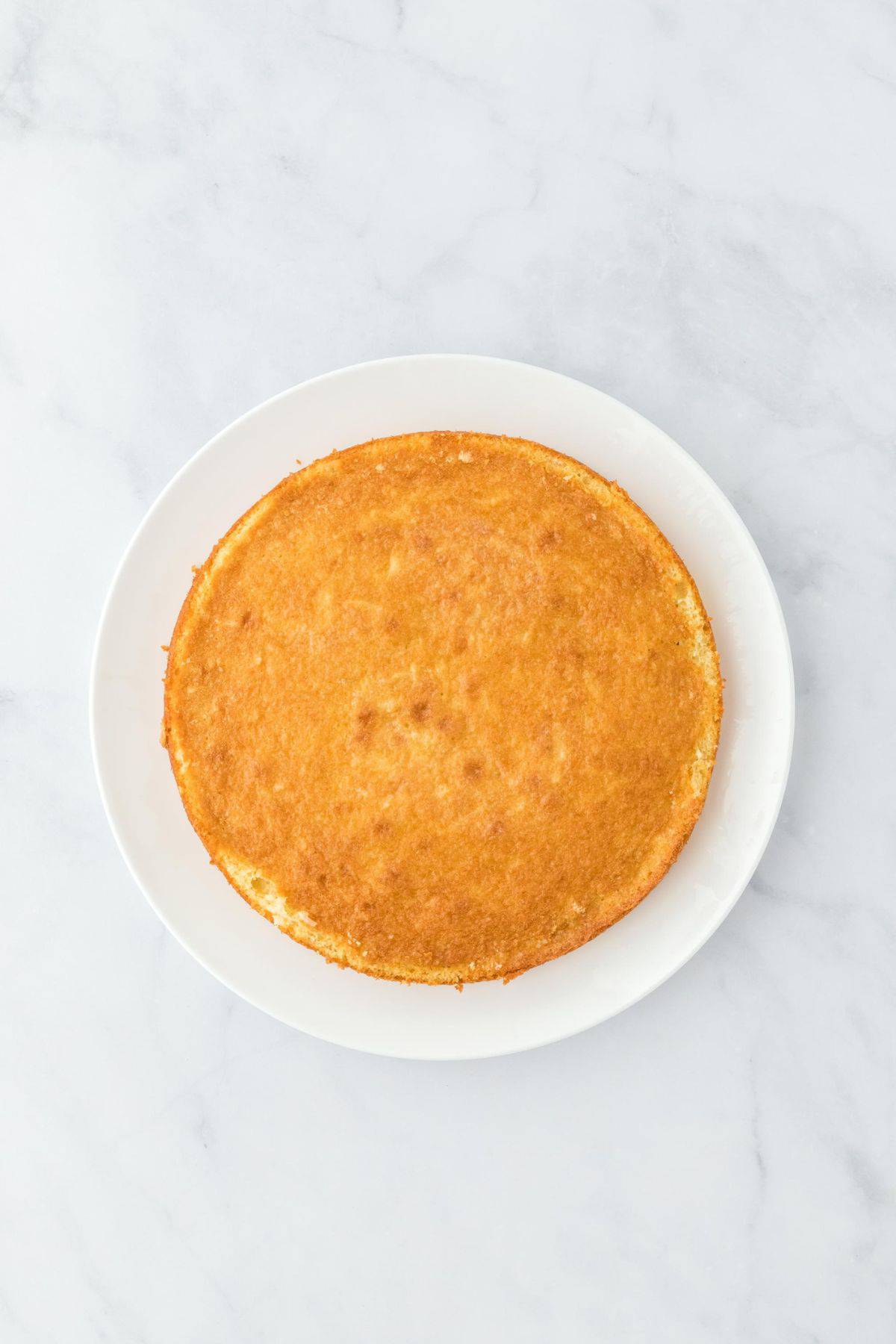 A single cake layer placed on a plate