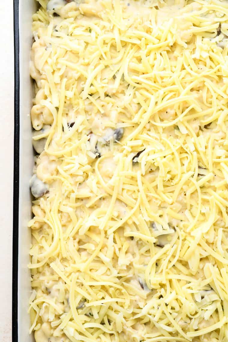 shredded cheese over the top of creamy macaroni before baking