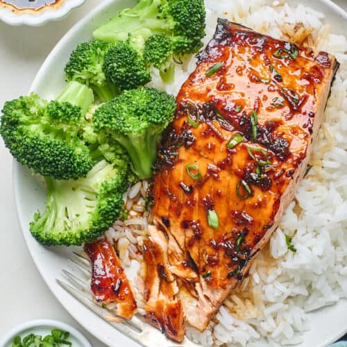 Air Fried Salmon Bowl - The Windy City Dinner Fairy