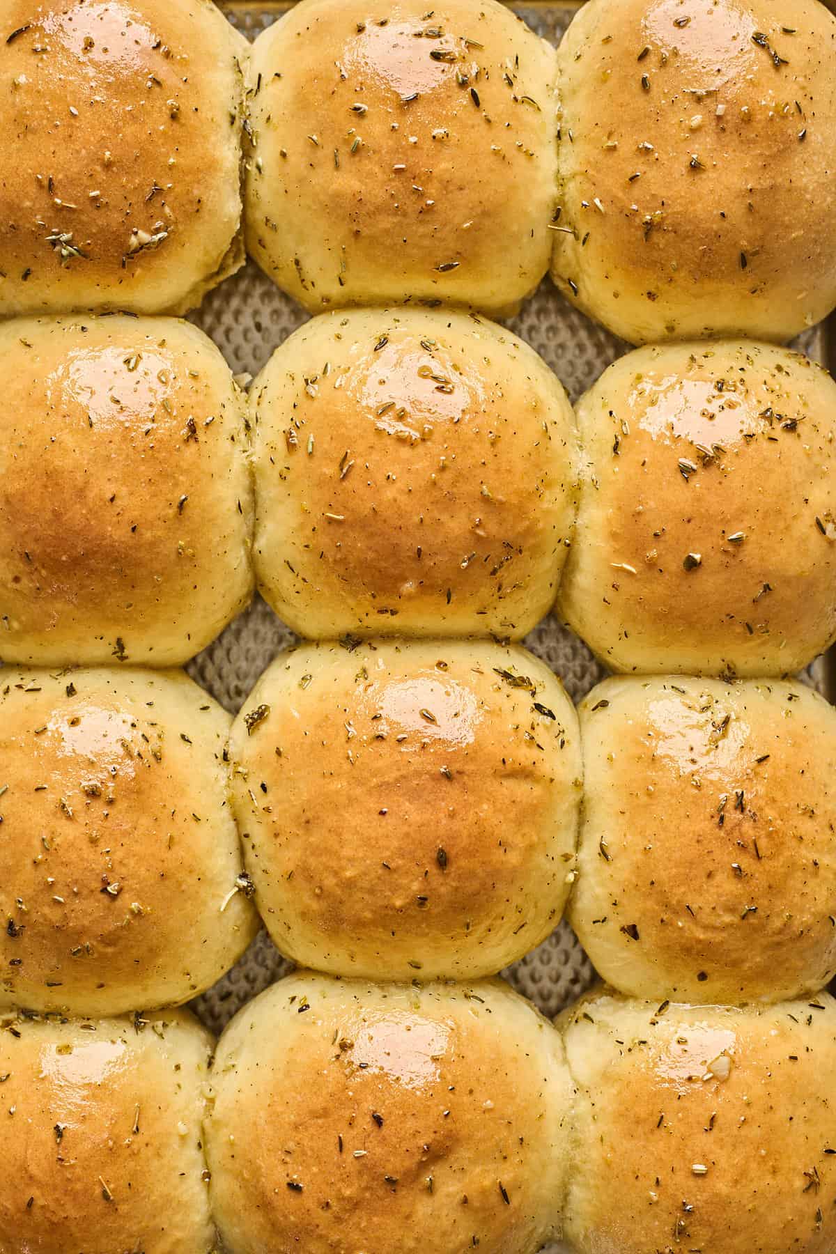 Twelve potato rolls on a baking sheet after being glazed