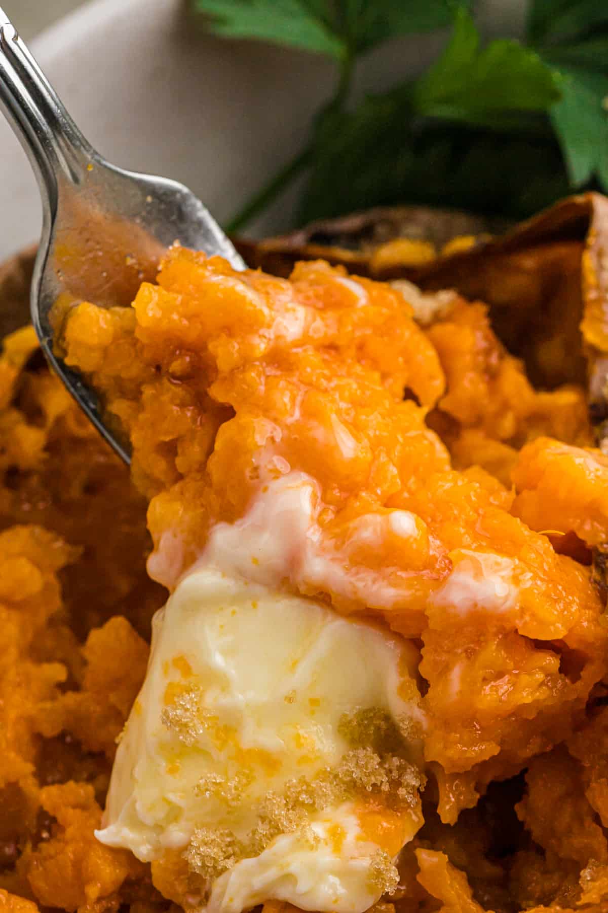 A fork lifting a bite of baked sweet potato with butter.