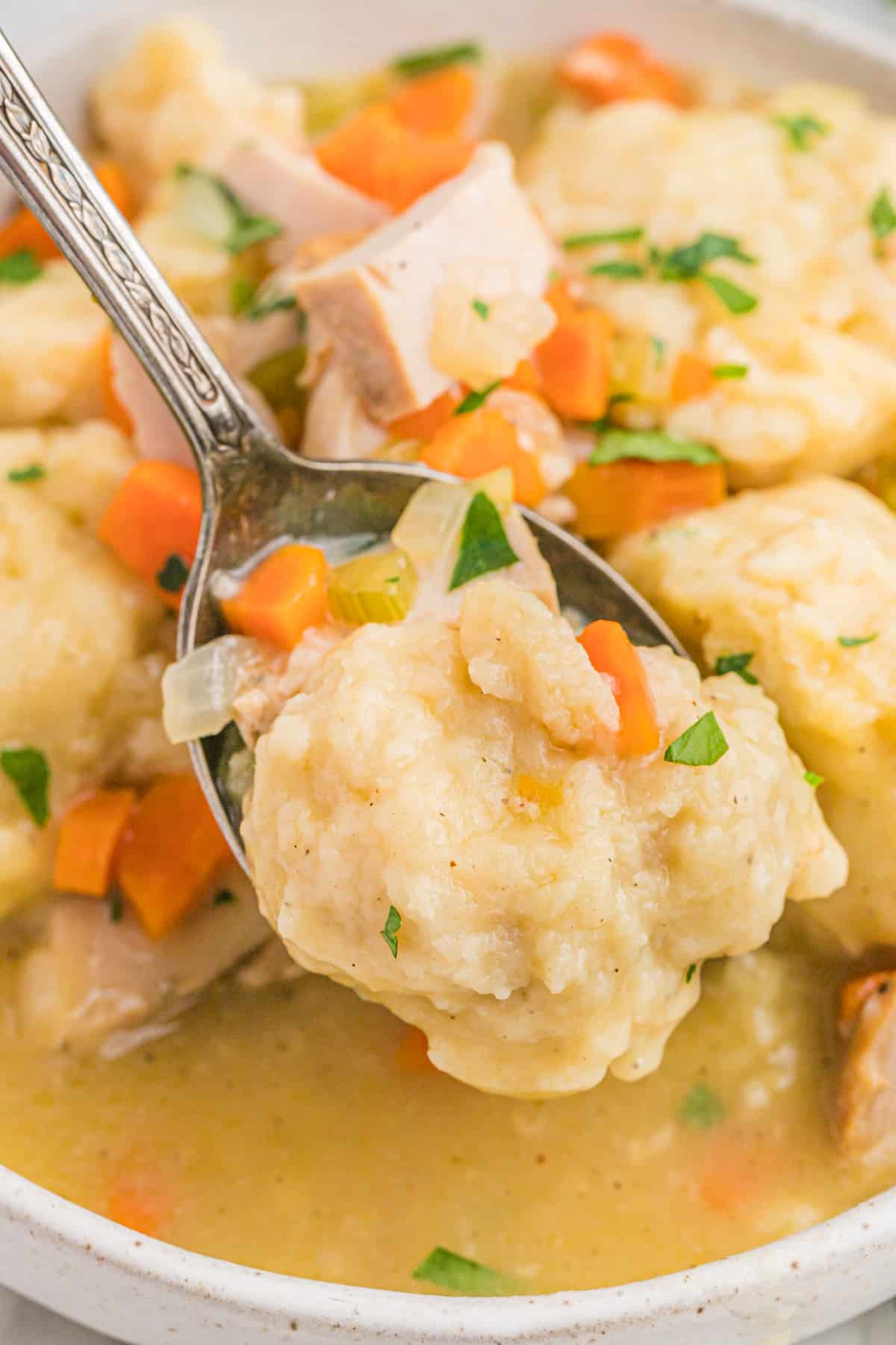 A large spoon of turkey and dumplings in a large bowl close up.