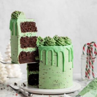 mint chocolate cake with a large slice being taken out