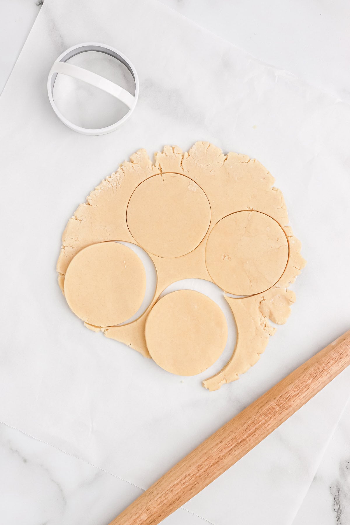 Rolled out sugar cookie dough on parchment paper with four round cookie shapes cut out using a circular cookie cutter and a rolling pin nearby