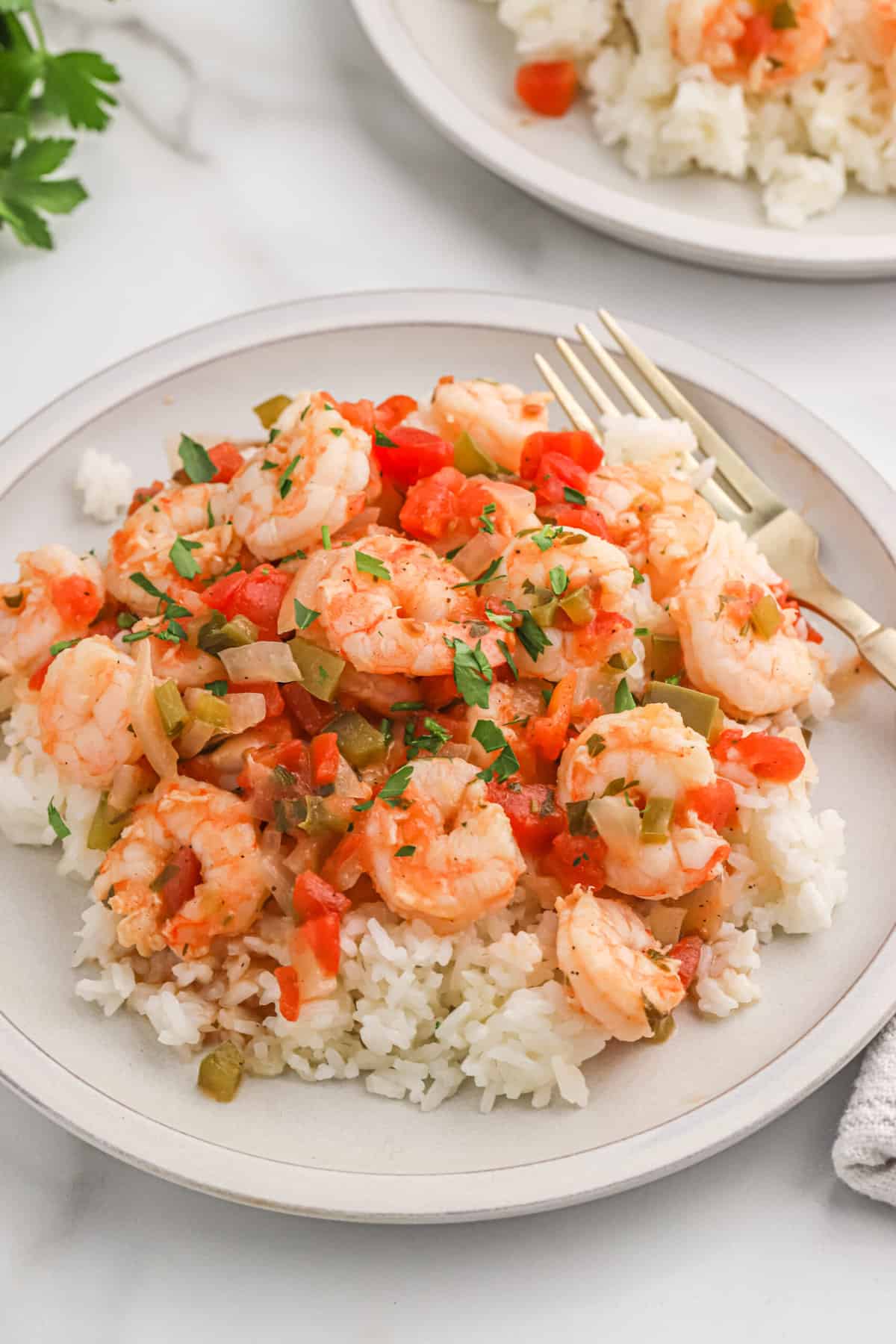 Shrimp creole over white rice on a white plate