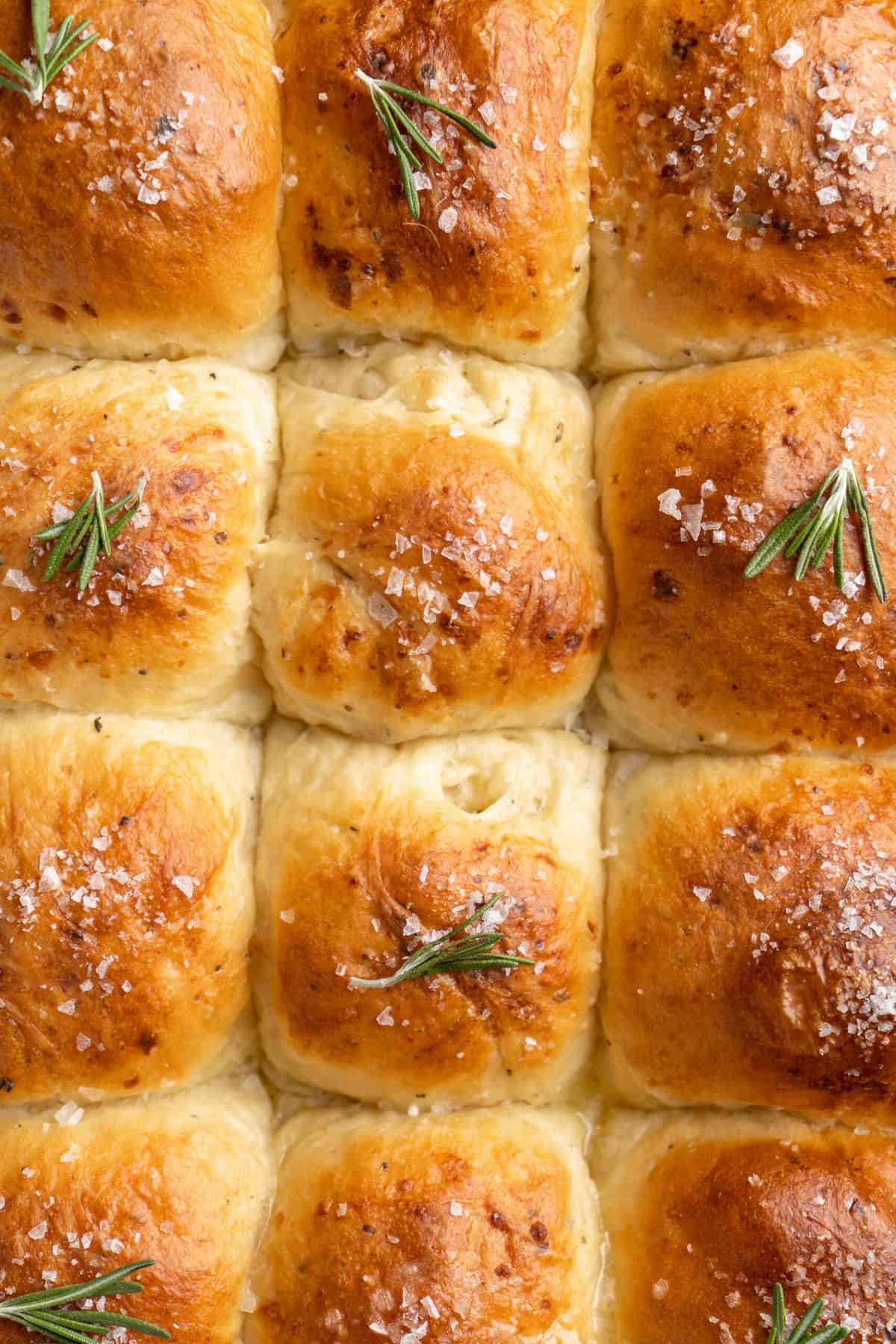 Closeup of white cheddar dinner rolls baked in a pan.