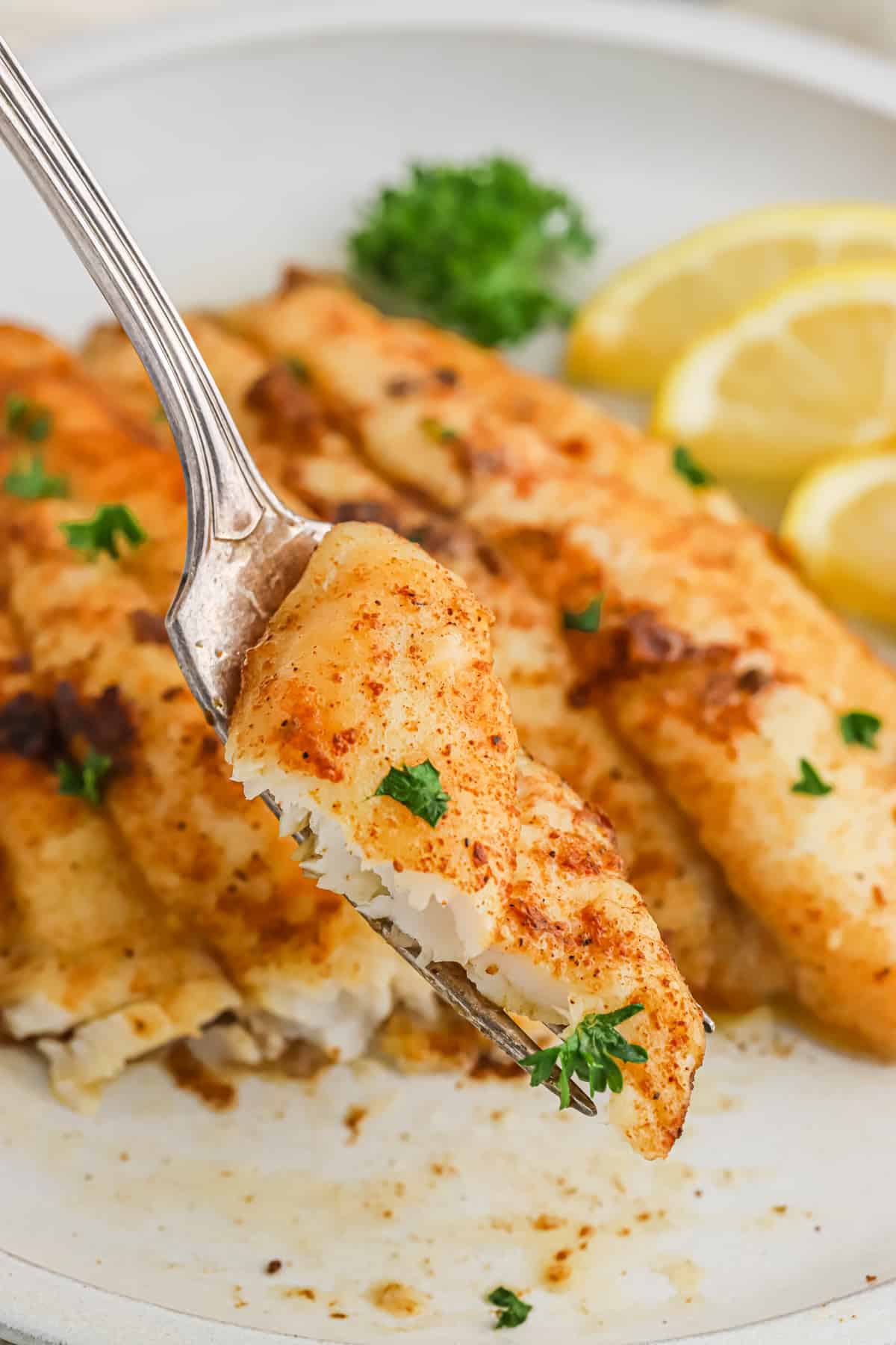 A fork with a bite of blackened catfish off a fillet.