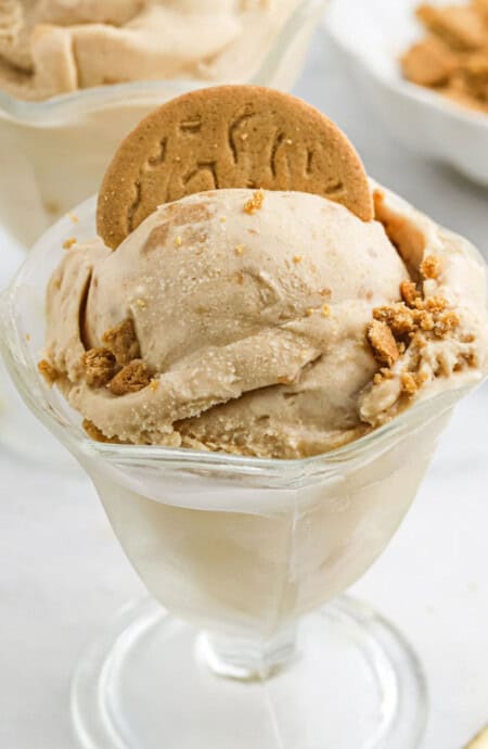 Two scoops of cookie butter ice cream in a glass dessert bowl and topped with a cookie.