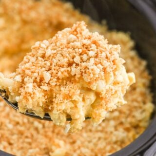 A fork of creamy Slow Cooker Mac and Cheese (slow cooker macaroni and cheese recipe)