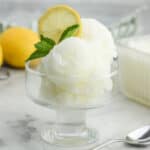 A glass dessert cup with two scoops of lemonade sorbet garnished with lemon slice and fresh mint.