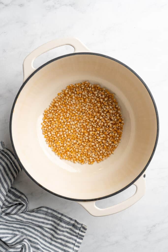 popcorn kernels in a dutch oven pan.