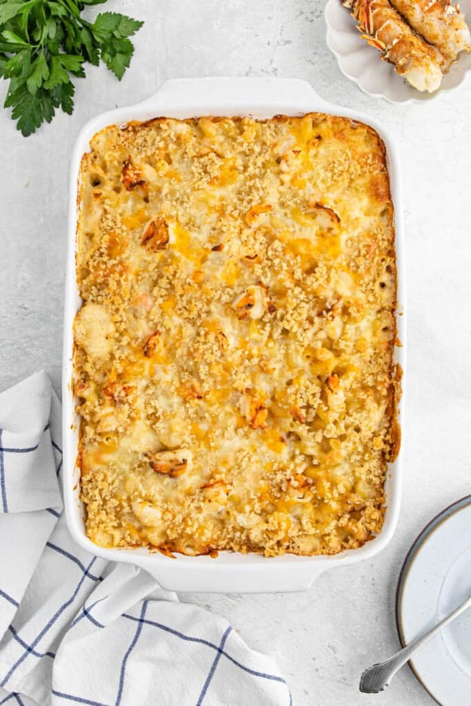 Lobster mac and cheese finished in a baking dish